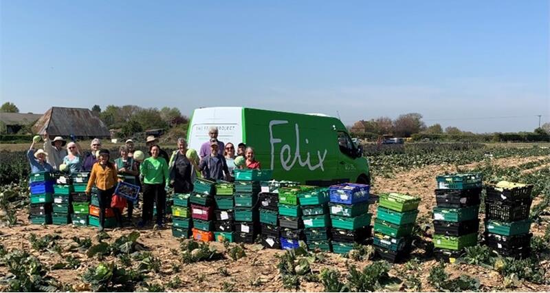 The Felix Project team collecting surplus produce from a farm with their bright green van. The graphic on the side of the van reads 