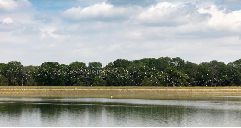 A photograph of a reservoir and the surrounding green landscape covered in trees.
