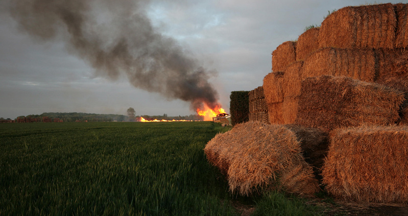 D-Day 80 Beacon