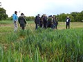 Regional Crops Board at Rothamsted