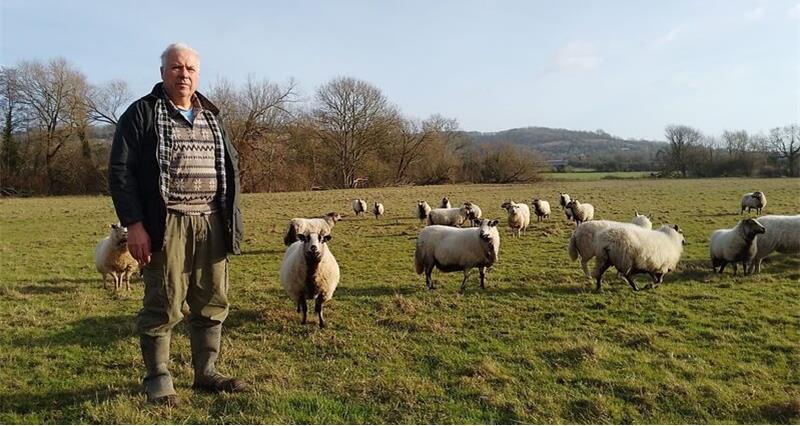 Farmer John Dinnis standing in a field with some sheep
