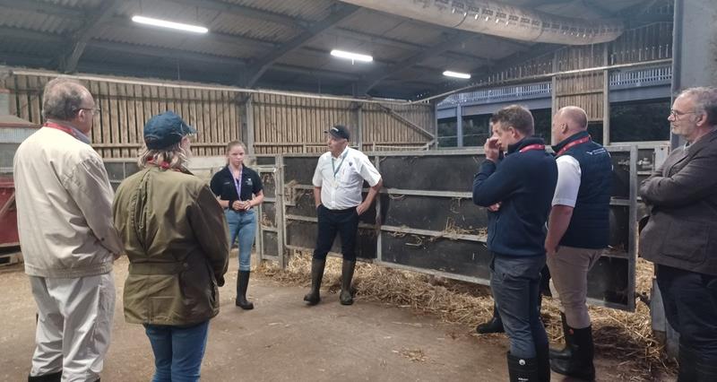 Farmers inside the cattle shed at Plumpton College
