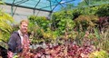 Ian Mills, Creswick Nursery, at Darenth, near Dartford