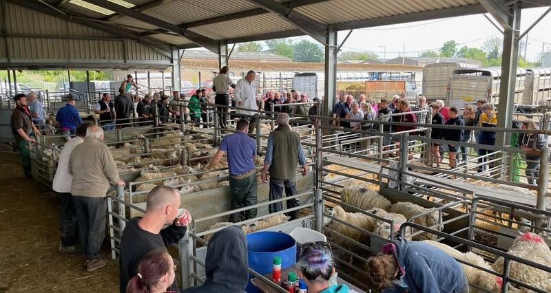 Farmers at Norwich Livestock Market