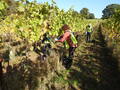 Volunteers at Lokkelebery Vineyard in Welwyn