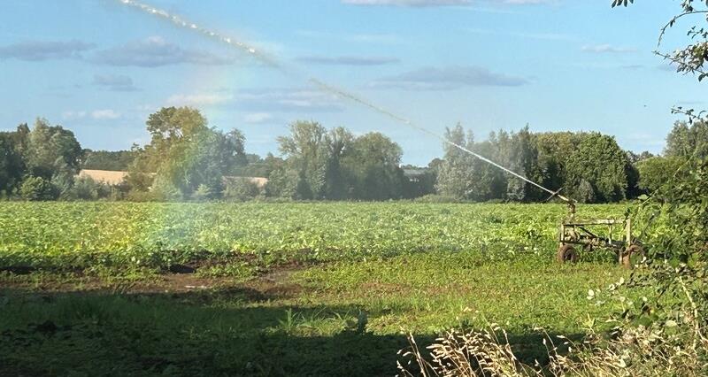 Irrigating crops at Methwold Hythe in Norfolk