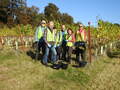 Volunteers at Lokkelebery Vineyard in Welwyn