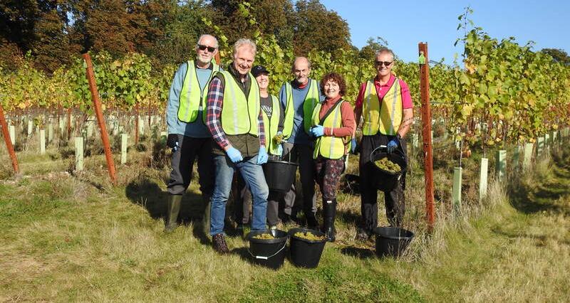 Volunteers in high vis jackets standing in front of a vineyard