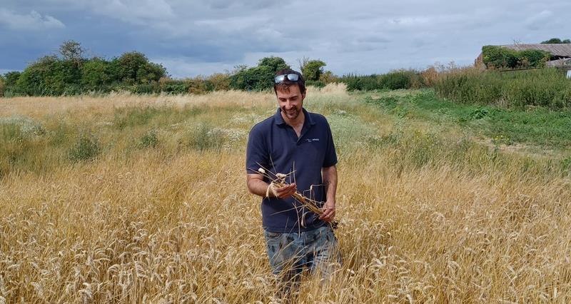 Farmer Luke Abblitt standing in a field looking at a crop