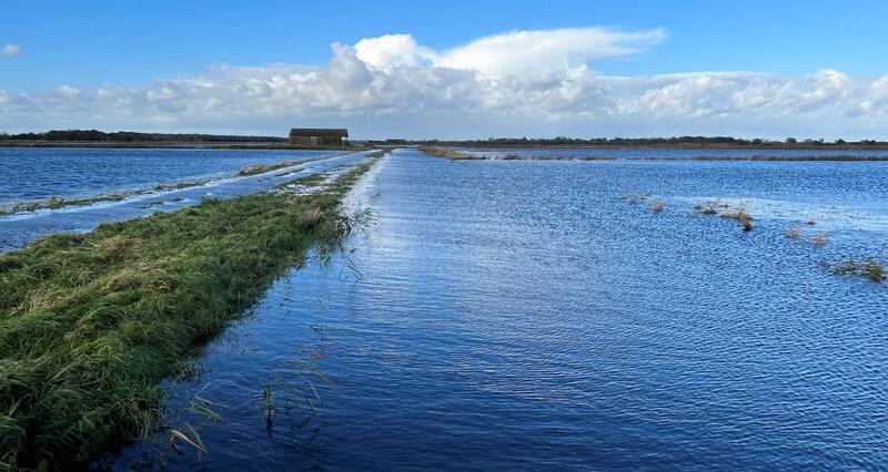 Flooded land in the Norfolk Broads