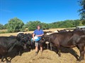 James Runciman with his cattle