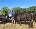 James Runciman with his cattle