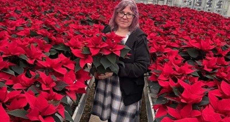 A photo of Sarah Fairhurst from Arden Lea Nurseries in a greenhouse of poinsettia plants holding a poinsettia plant