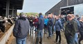 North dairy farm walk cumbria