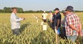 NFU AHDB Summer Crops event 2026