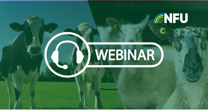 NFU Webinar: Have your say on the NFU's response to the Animal Health and Welfare Pathway Consultation