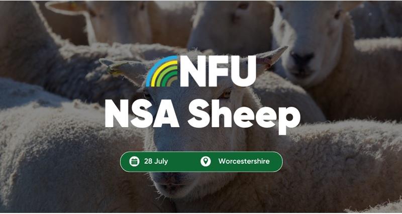 Meet our livestock experts at NSA Sheep