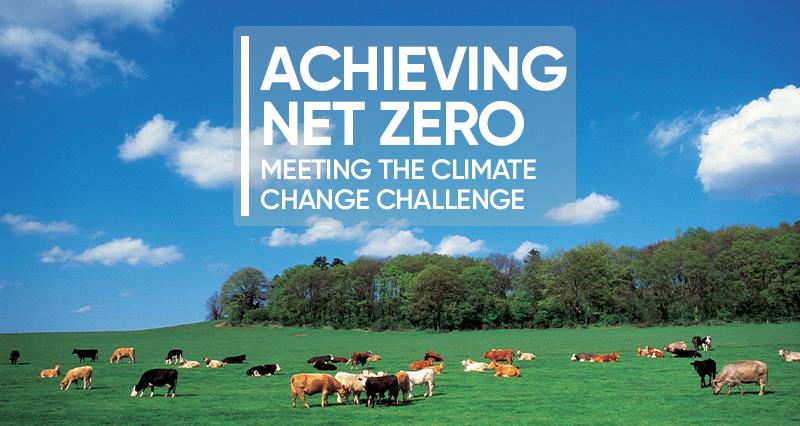 Achieiving net zero meeting the climate change challenge writing on a field of cows