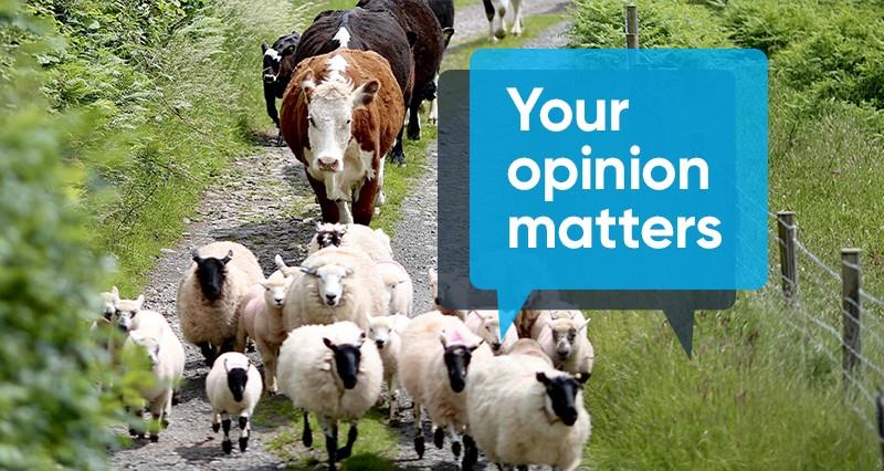 A herd of cattle and sheep plus a text box containing the words 