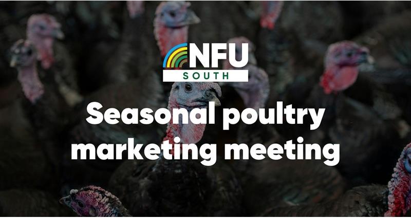 NFU seasonal poultry marketing meeting | Devon briefing and networking event