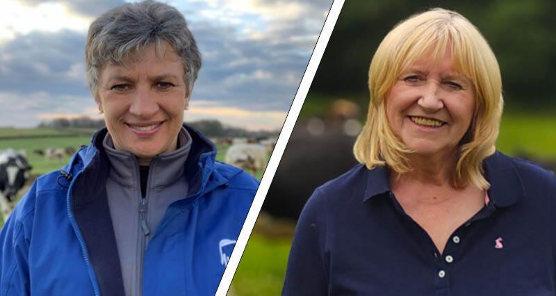Jane Barnes and Judy Dilks