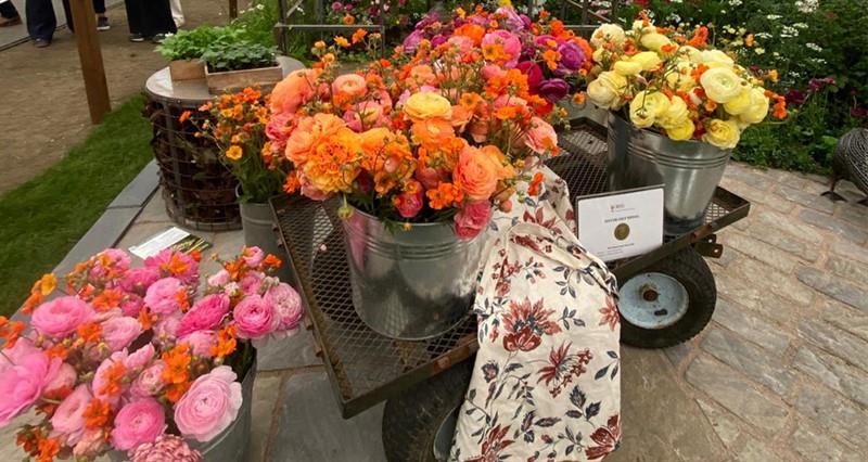 Rozanne Delamore's exhibit and Chelsea Flower Show