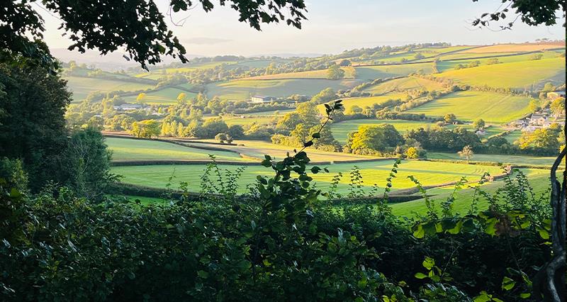 Farmed landscapes
