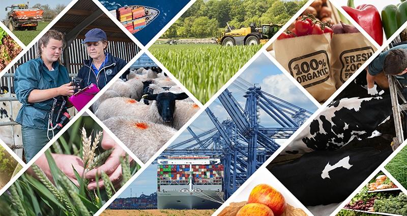 Aligning with the EU – NFU calls for clear communication and transition period