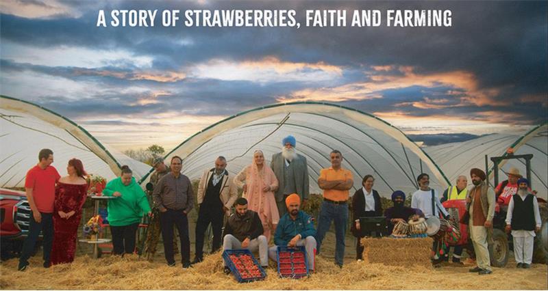 Stars of the docuseries 'It's a Punjabi Farm Innit' standing on the family farm