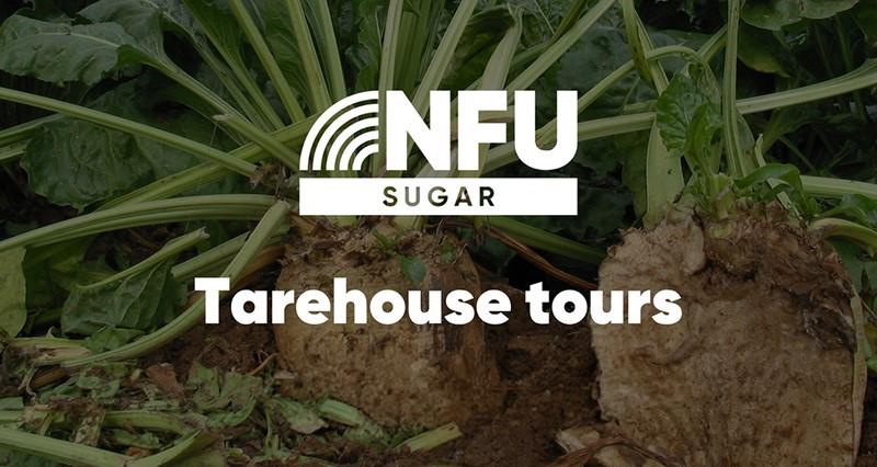 Tarehouse Tours graphic featuring sugar beet
