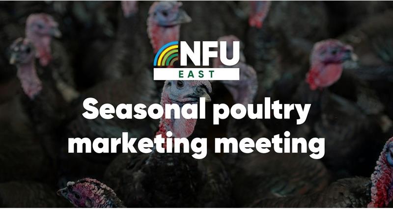 NFU seasonal poultry marketing meeting | West Sussex briefing and networking event