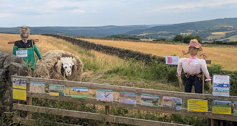 Scarecrows and a bale of hay dressed as a sheep in a field in Hope Valley