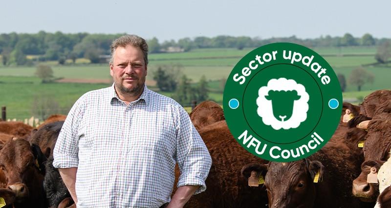 NFU Council: Livestock update