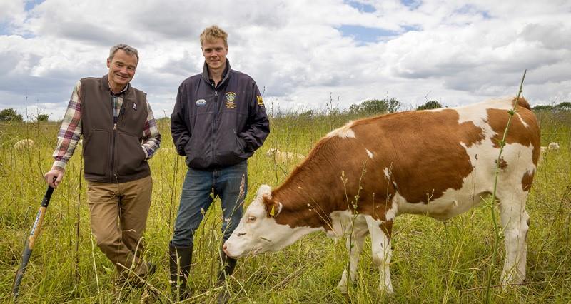 Ian Wilkinson and Hallam Duckworth with a cow