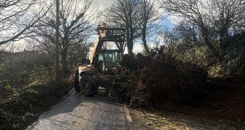 A tractor moving a fallen tree on a main road