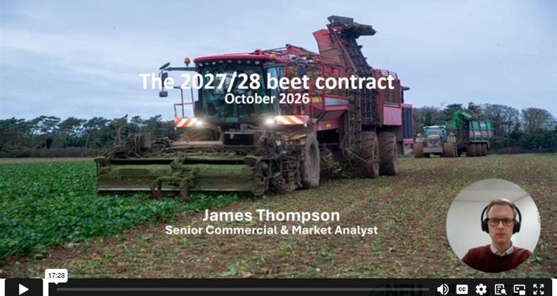 Sugar beet contracts explainer