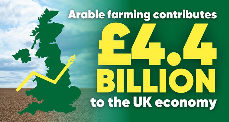An infographic containing the statistic that arable farming contributes £4.4 billion to the UK economy with an outline of the UK and a field of crops as the backdrop.