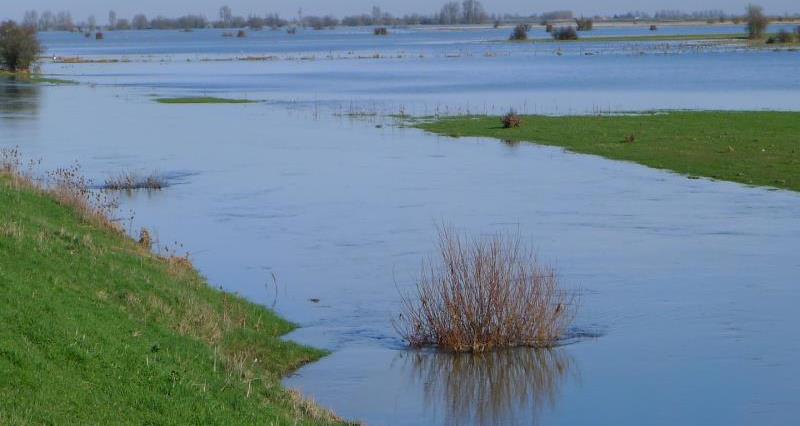 ouse washes, water, trickle irrigation, flooding, drainage, licensing_32917