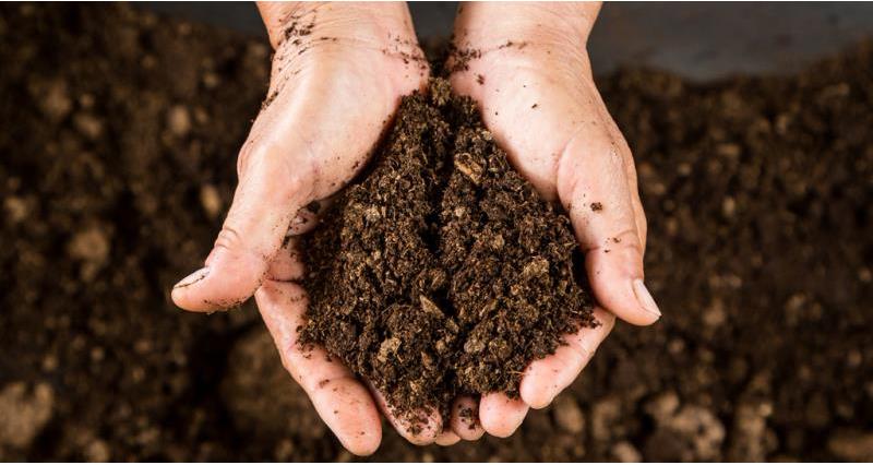 Compost, nutrients, environment, soil, waste