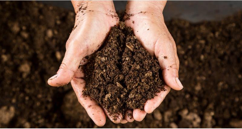 Hands holding soil