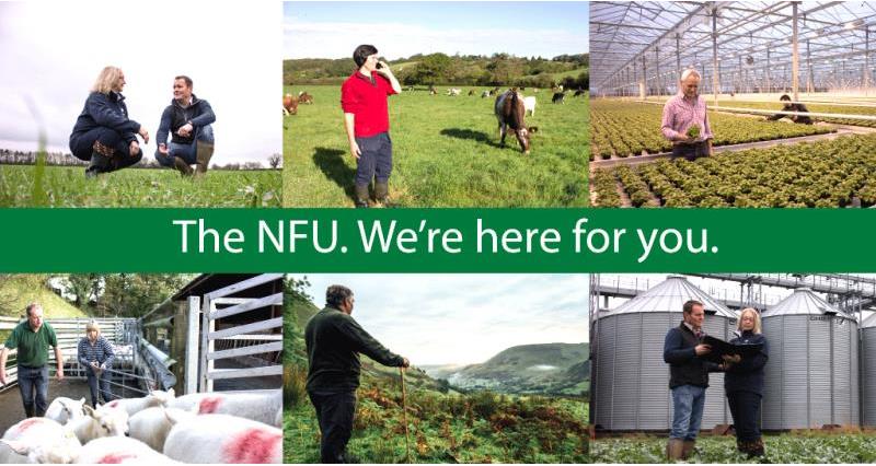 tv ad, membership homepage banner-1024x542, the NFU we're here for you_36643