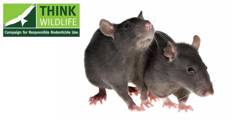 campaign for the responsible use of rodenticides, rats, logo_41466