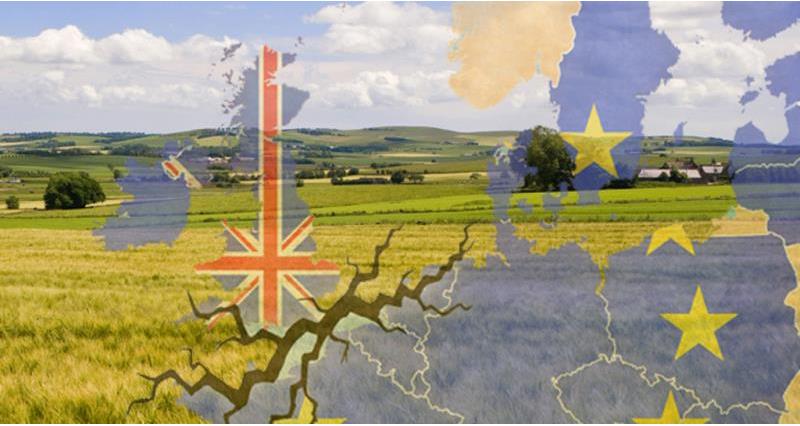 eu, referendum, brexit, trade, fields and map of europe, web crop_42869