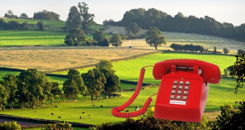 bps and callfirst image, red telephone on fields_33075