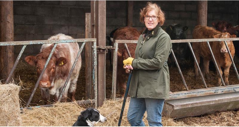 angela sargent is the face of great british beef week, web crop_38266