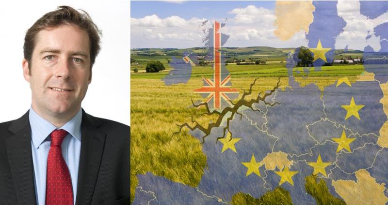 phil bicknell blog, eu, referendum, brexit, trade, fields and map of europe_36577