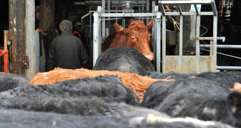 TB strategy provides important direction, but urgency needed in delivery