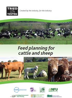 Tried and Tested feed planning cover_275_376