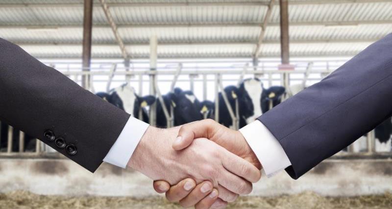 handshake and dairy cows, co-operatives, producer groups_32654