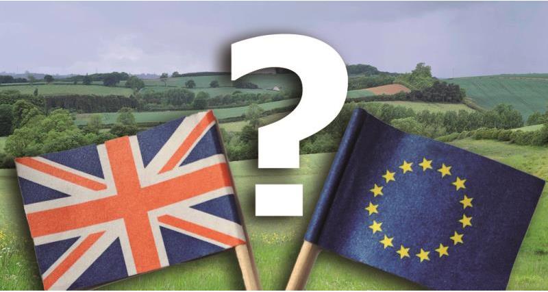 eu faqs banner, flags, countryside and question mark_36614